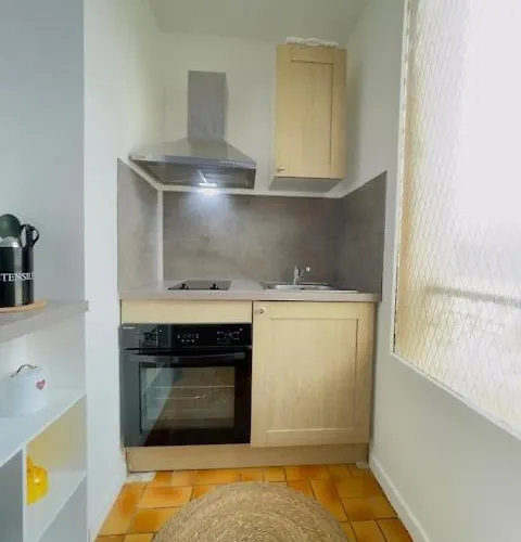 Apartmán L'elegant De La Bascule - 4 Voyageurs - Wifi Le Mans